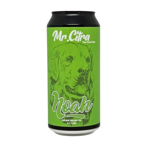 Bere Noah IPA Online Kopen Brother Beer
